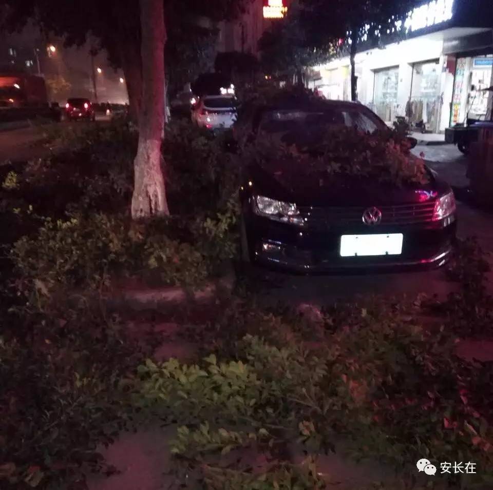 游客自驾游北海 夜晚车停路边被砸
